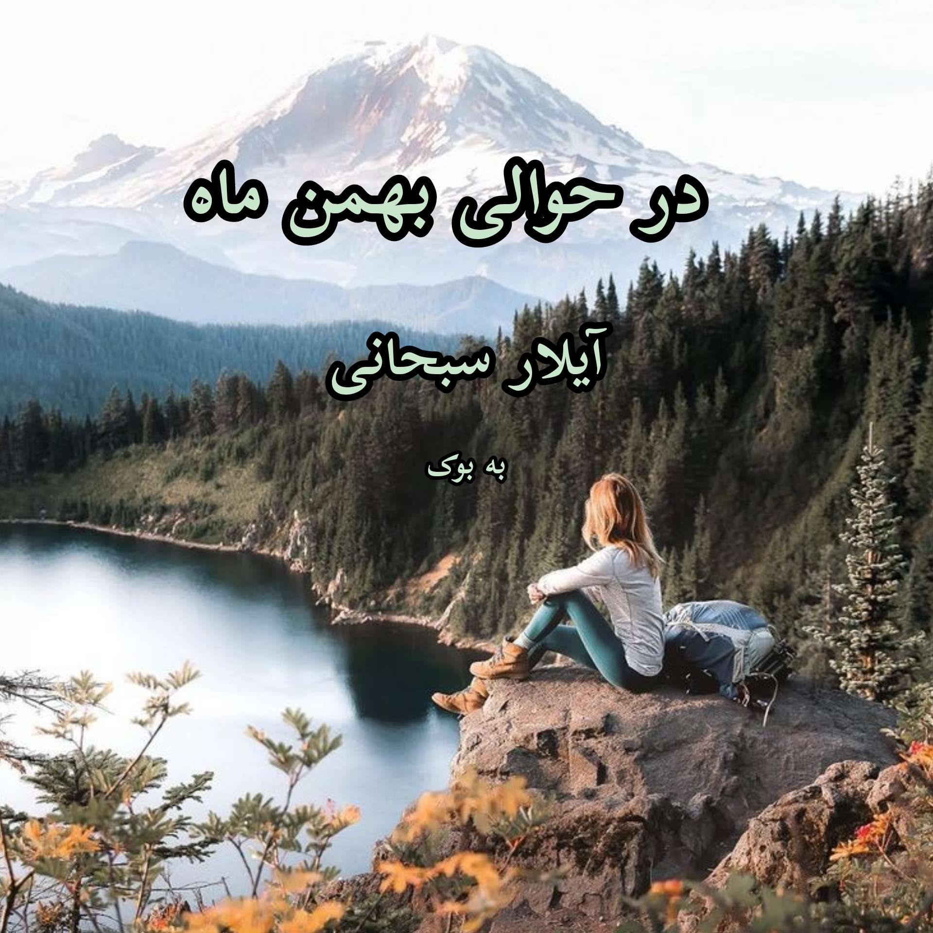 رمان در حوالی بهمن ماه از آیلار سبحانی 1