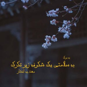 رمان به سلامتی یک شکوفه زیر تگرگ از مهدیه افشار 77